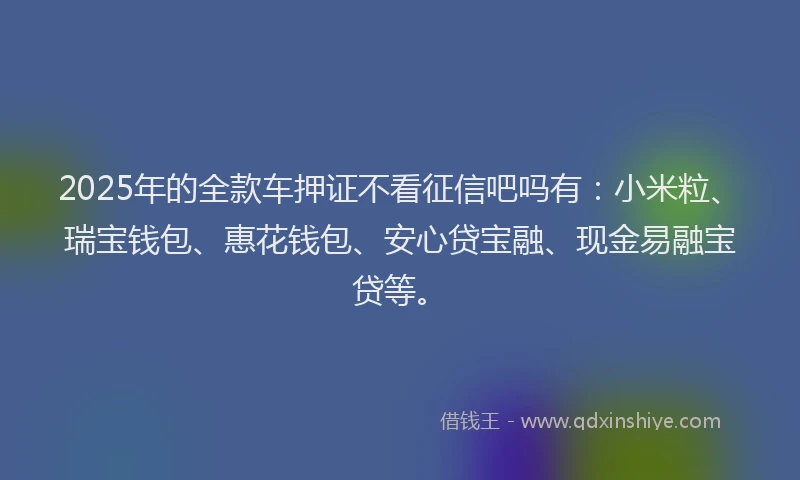 2025年的全款车押证不看征信吧吗有：小米粒、瑞宝钱包、惠花钱包、安心贷宝融、现金易融宝贷等。