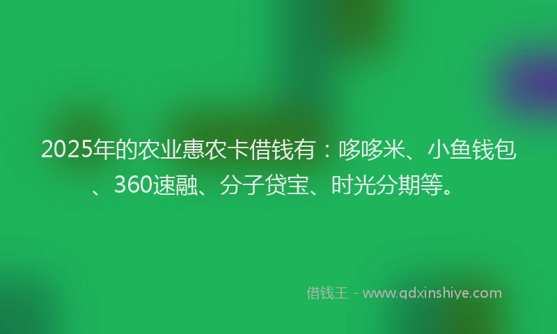 2025年的农业惠农卡借钱有：哆哆米、小鱼钱包、360速融、分子贷宝、时光分期等。