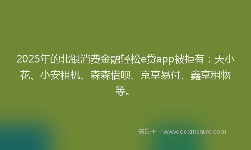 2025年的北银消费金融轻松e贷app被拒有：天小花、小安租机、森森借呗、京享易付、鑫享租物等。