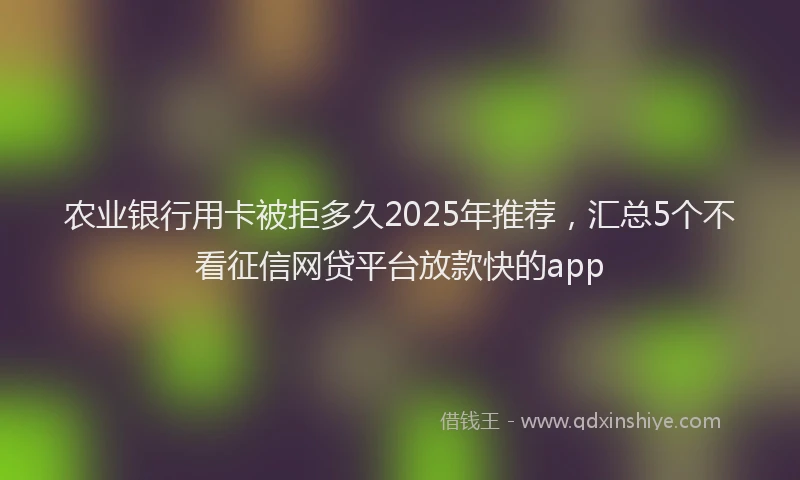 农业银行用卡被拒多久2025年推荐，汇总5个不看征信网贷平台放款快的app