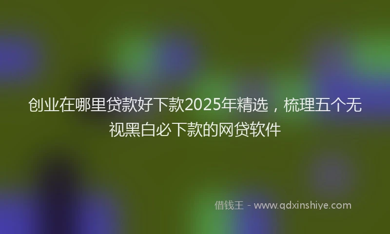 创业在哪里贷款好下款2025年精选，梳理五个无视黑白必下款的网贷软件