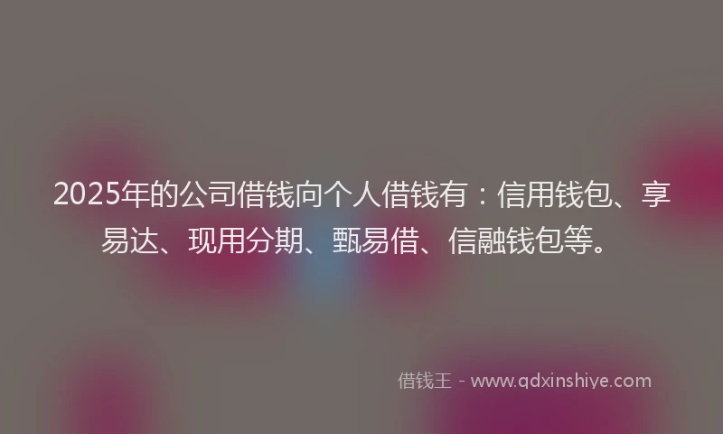 2025年的公司借钱向个人借钱有：信用钱包、享易达、现用分期、甄易借、信融钱包等。