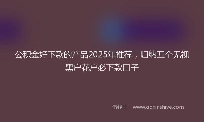 公积金好下款的产品2025年推荐，归纳五个无视黑户花户必下款口子