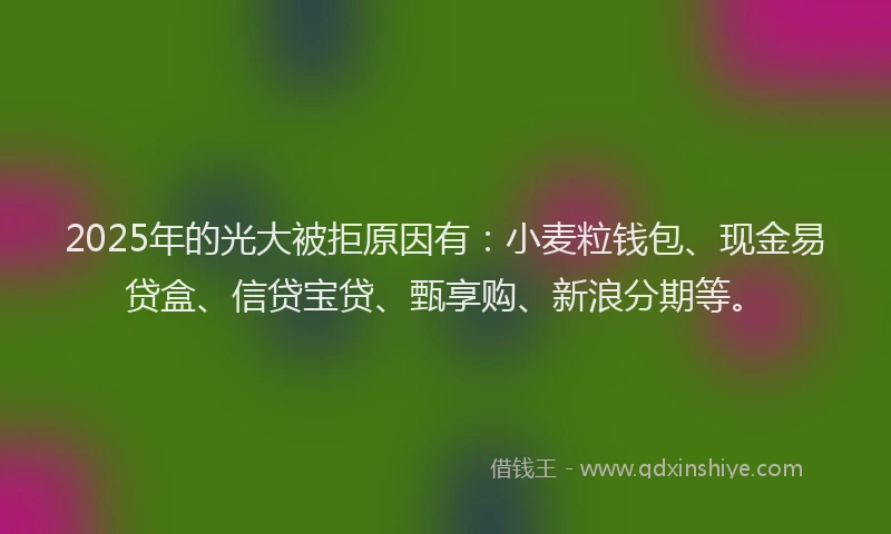 2025年的光大被拒原因有：小麦粒钱包、现金易贷盒、信贷宝贷、甄享购、新浪分期等。