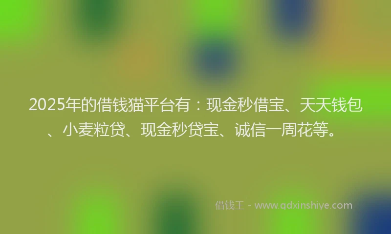 2025年的借钱猫平台有：现金秒借宝、天天钱包、小麦粒贷、现金秒贷宝、诚信一周花等。