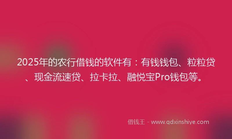2025年的农行借钱的软件有：有钱钱包、粒粒贷、现金流速贷、拉卡拉、融悦宝Pro钱包等。
