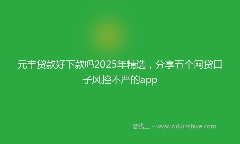 元丰贷款好下款吗2025年精选，分享五个网贷口子风控不严的app