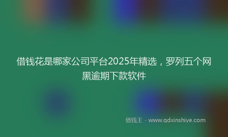 借钱花是哪家公司平台2025年精选，罗列五个网黑逾期下款软件