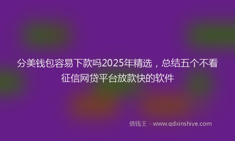 分美钱包容易下款吗2025年精选，总结五个不看征信网贷平台放款快的软件