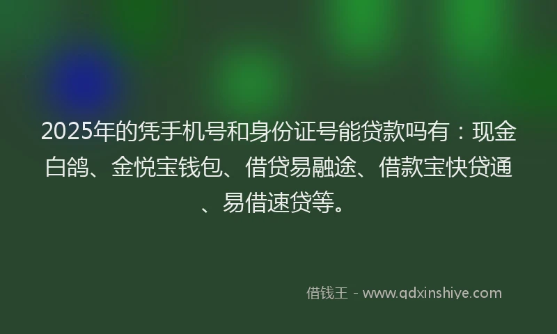 2025年的凭手机号和身份证号能贷款吗有：现金白鸽、金悦宝钱包、借贷易融途、借款宝快贷通、易借速贷等。