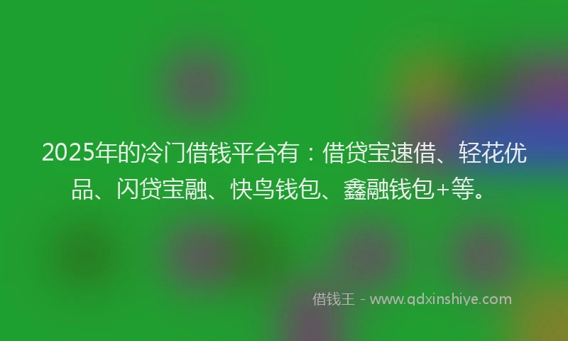 2025年的冷门借钱平台有：借贷宝速借、轻花优品、闪贷宝融、快鸟钱包、鑫融钱包+等。