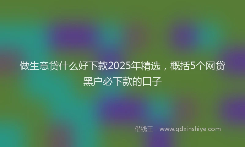 做生意贷什么好下款2025年精选，概括5个网贷黑户必下款的口子