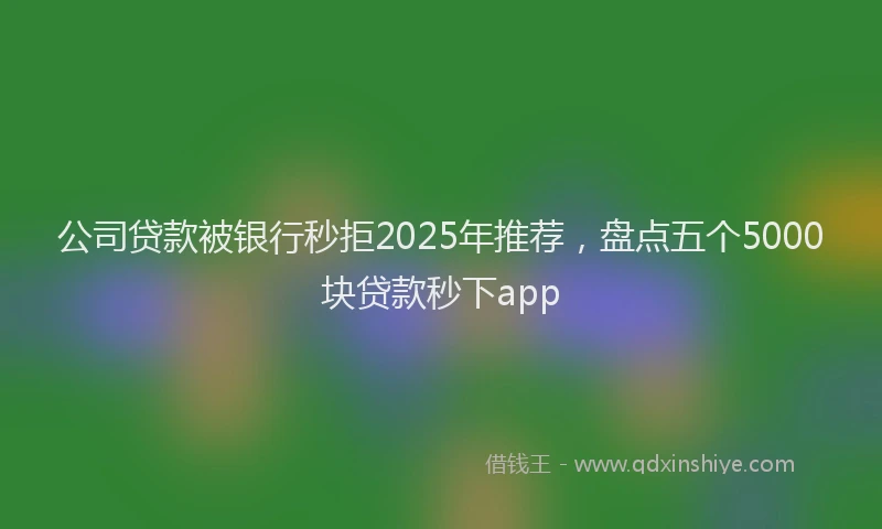 公司贷款被银行秒拒2025年推荐，盘点五个5000块贷款秒下app