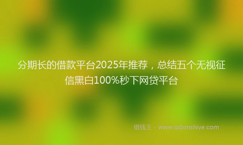 分期长的借款平台2025年推荐，总结五个无视征信黑白100%秒下网贷平台