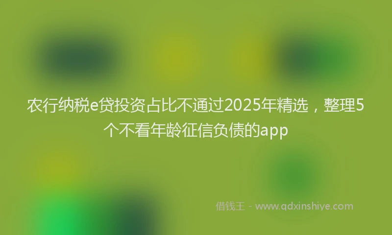 农行纳税e贷投资占比不通过2025年精选，整理5个不看年龄征信负债的app