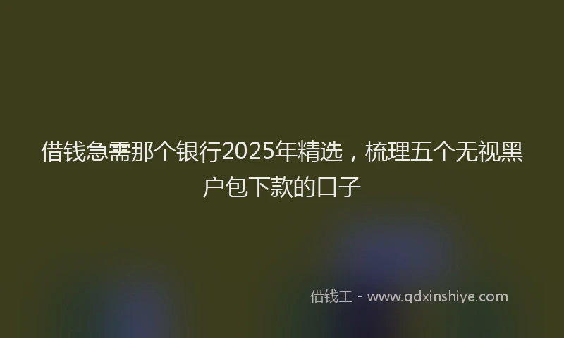 借钱急需那个银行2025年精选，梳理五个无视黑户包下款的口子