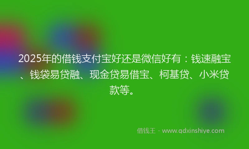 2025年的借钱支付宝好还是微信好有：钱速融宝、钱袋易贷融、现金贷易借宝、柯基贷、小米贷款等。