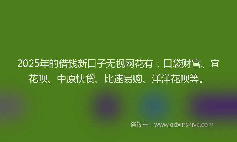 2025年的借钱新口子无视网花有：口袋财富、宜花呗、中原快贷、比速易购、洋洋花呗等。