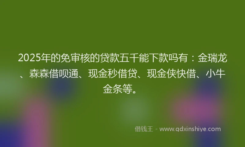 2025年的免审核的贷款五千能下款吗有：金瑞龙、森森借呗通、现金秒借贷、现金侠快借、小牛金条等。