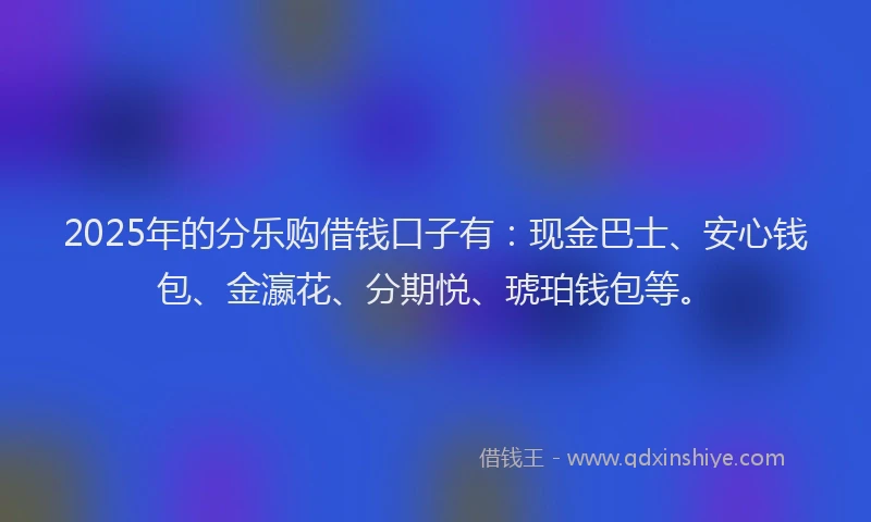 2025年的分乐购借钱口子有：现金巴士、安心钱包、金瀛花、分期悦、琥珀钱包等。