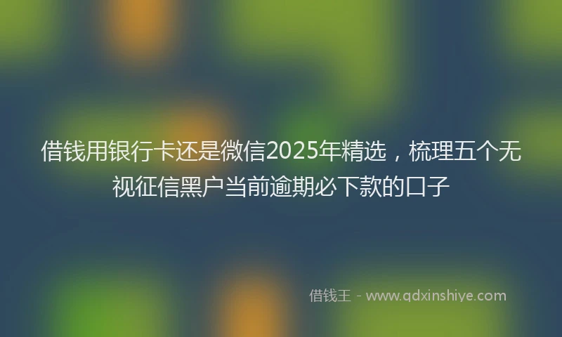 借钱用银行卡还是微信2025年精选，梳理五个无视征信黑户当前逾期必下款的口子