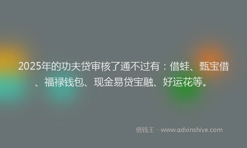 2025年的功夫贷审核了通不过有：借蛙、甄宝借、福禄钱包、现金易贷宝融、好运花等。