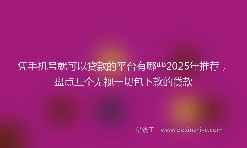 凭手机号就可以贷款的平台有哪些2025年推荐，盘点五个无视一切包下款的贷款