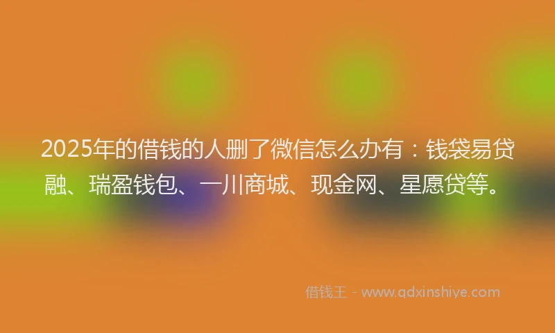 2025年的借钱的人删了微信怎么办有：钱袋易贷融、瑞盈钱包、一川商城、现金网、星愿贷等。