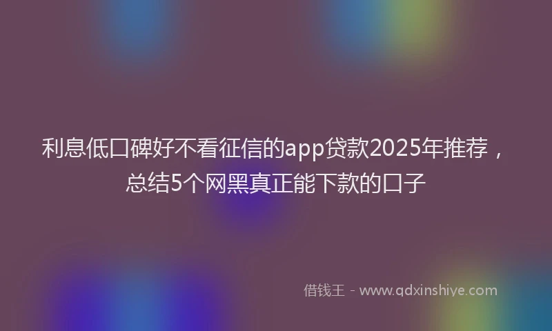 利息低口碑好不看征信的app贷款2025年推荐，总结5个网黑真正能下款的口子