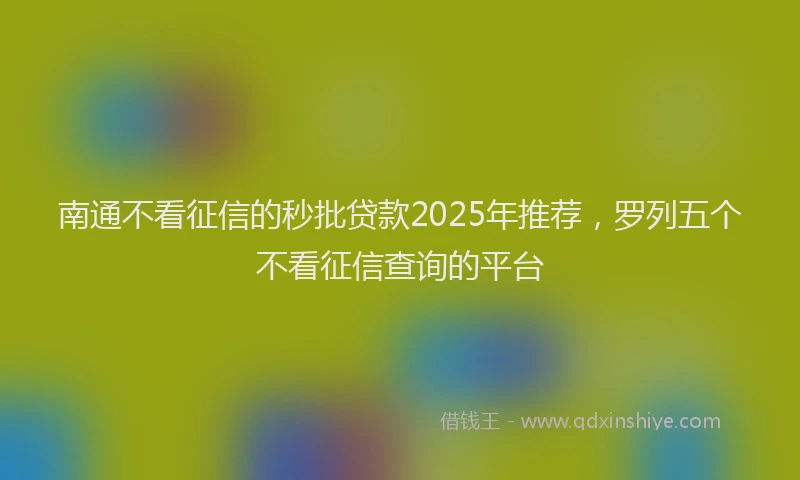 南通不看征信的秒批贷款2025年推荐，罗列五个不看征信查询的平台