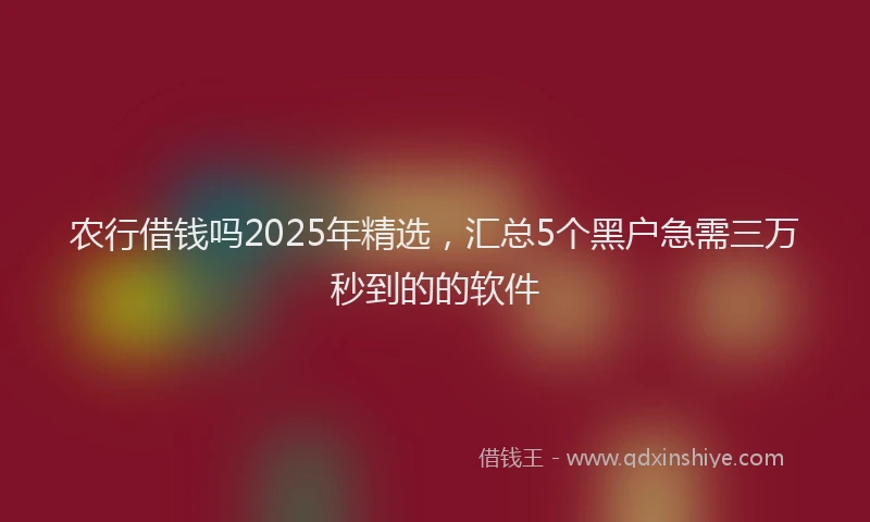 农行借钱吗2025年精选，汇总5个黑户急需三万秒到的的软件