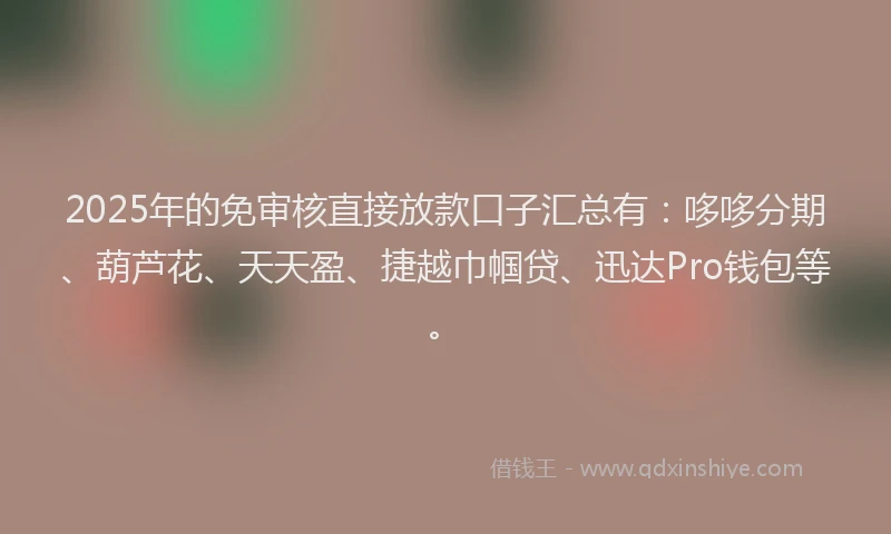 2025年的免审核直接放款口子汇总有：哆哆分期、葫芦花、天天盈、捷越巾帼贷、迅达Pro钱包等。