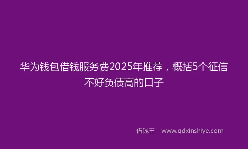 华为钱包借钱服务费2025年推荐，概括5个征信不好负债高的口子
