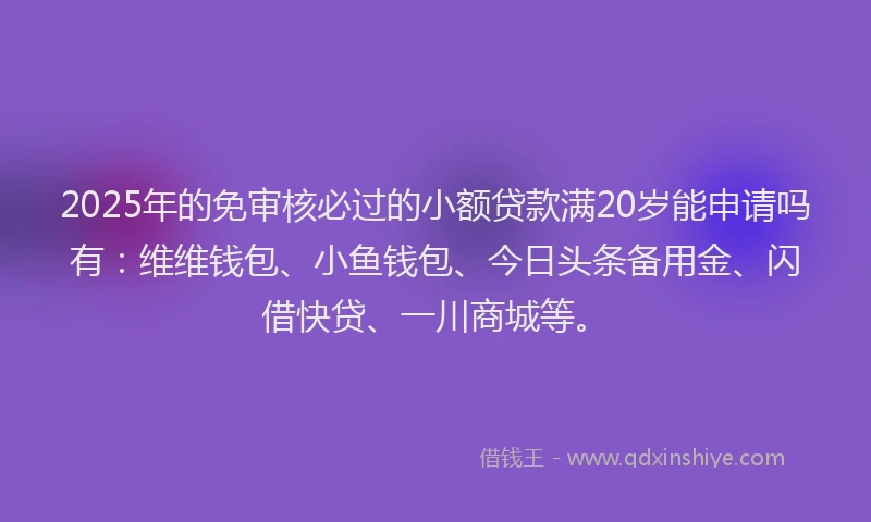 2025年的免审核必过的小额贷款满20岁能申请吗有：维维钱包、小鱼钱包、今日头条备用金、闪借快贷、一川商城等。