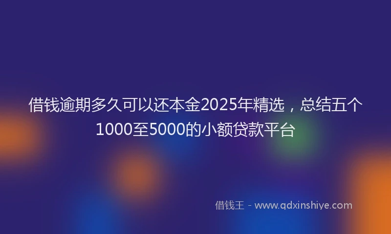 借钱逾期多久可以还本金2025年精选，总结五个1000至5000的小额贷款平台