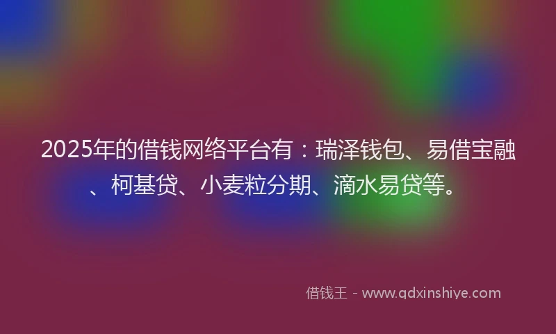 2025年的借钱网络平台有：瑞泽钱包、易借宝融、柯基贷、小麦粒分期、滴水易贷等。