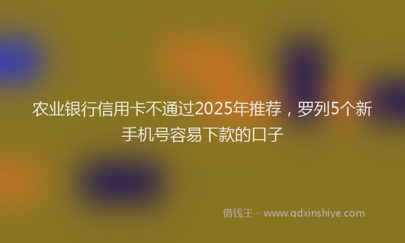 农业银行信用卡不通过2025年推荐，罗列5个新手机号容易下款的口子