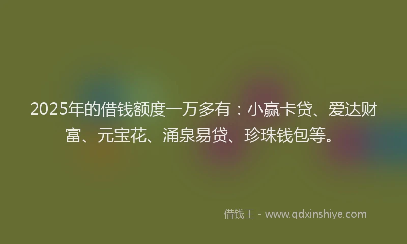 2025年的借钱额度一万多有：小赢卡贷、爱达财富、元宝花、涌泉易贷、珍珠钱包等。