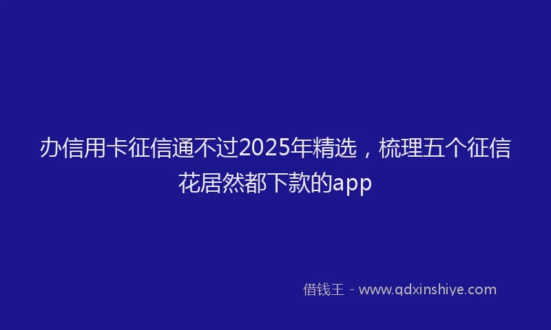 办信用卡征信通不过2025年精选，梳理五个征信花居然都下款的app
