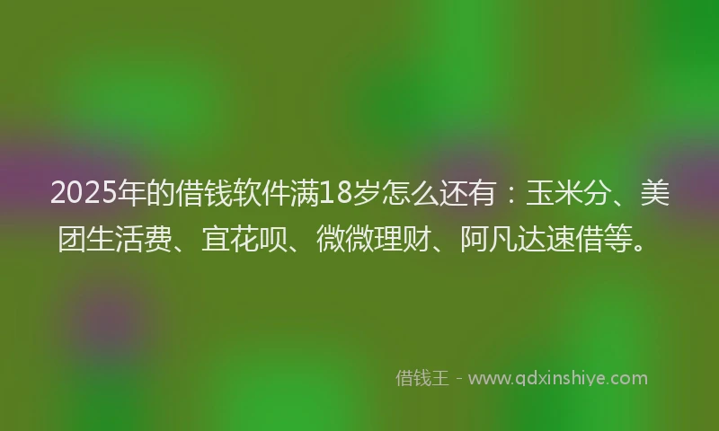 2025年的借钱软件满18岁怎么还有：玉米分、美团生活费、宜花呗、微微理财、阿凡达速借等。