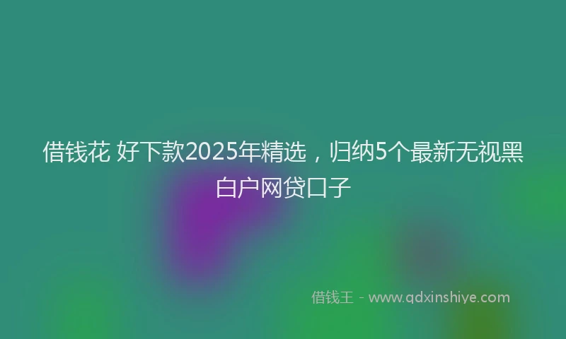 借钱花 好下款2025年精选，归纳5个最新无视黑白户网贷口子
