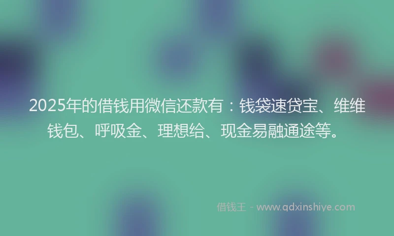 2025年的借钱用微信还款有：钱袋速贷宝、维维钱包、呼吸金、理想给、现金易融通途等。