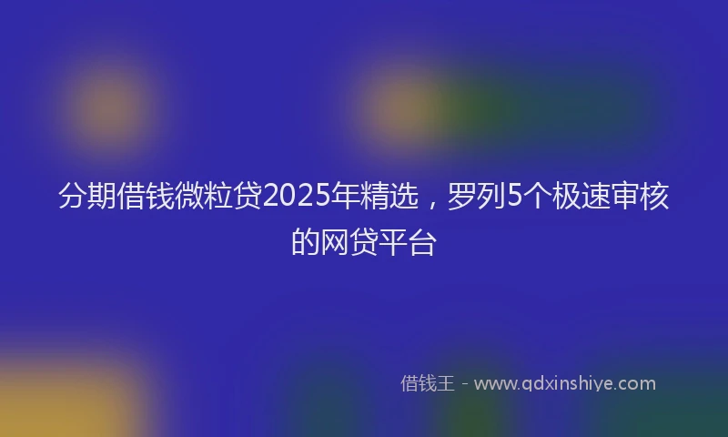 分期借钱微粒贷2025年精选，罗列5个极速审核的网贷平台