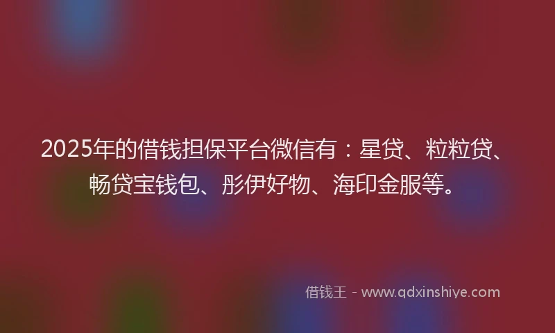 2025年的借钱担保平台微信有：星贷、粒粒贷、畅贷宝钱包、彤伊好物、海印金服等。