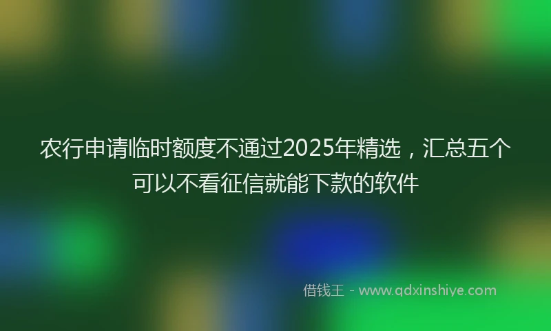 农行申请临时额度不通过2025年精选，汇总五个可以不看征信就能下款的软件