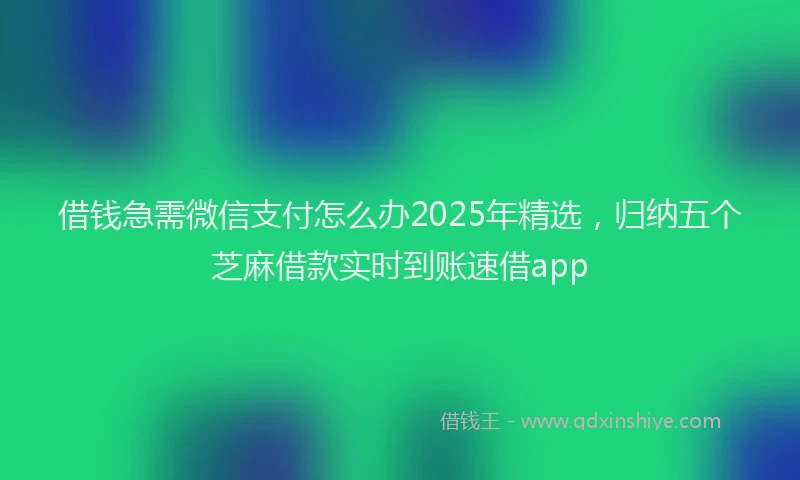 借钱急需微信支付怎么办2025年精选，归纳五个芝麻借款实时到账速借app