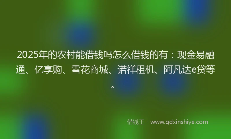 2025年的农村能借钱吗怎么借钱的有：现金易融通、亿享购、雪花商城、诺祥租机、阿凡达e贷等。