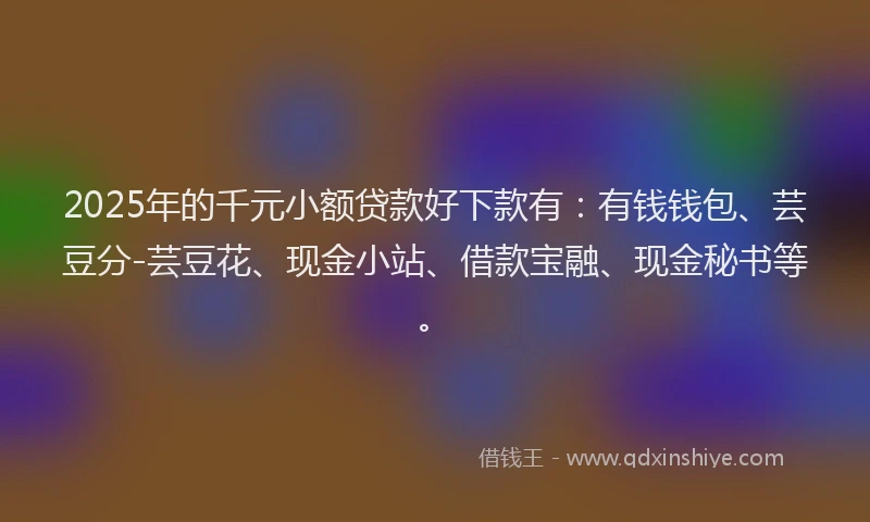 2025年的千元小额贷款好下款有：有钱钱包、芸豆分-芸豆花、现金小站、借款宝融、现金秘书等。