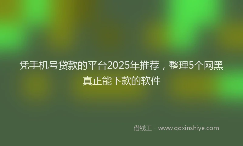 凭手机号贷款的平台2025年推荐，整理5个网黑真正能下款的软件