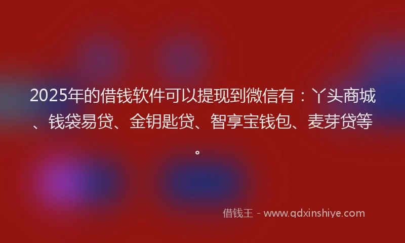 2025年的借钱软件可以提现到微信有：丫头商城、钱袋易贷、金钥匙贷、智享宝钱包、麦芽贷等。
